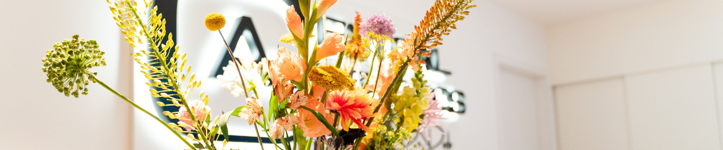 Central Aesthetics Mediathek